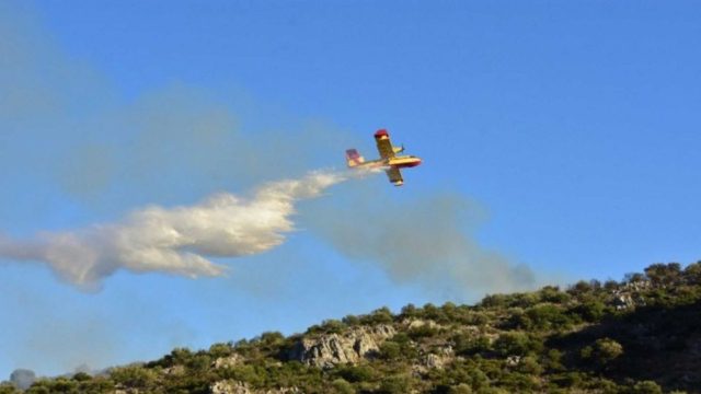 Λαμία: Φωτιά στην Καμηλόβρυση – Τέθηκε γρήγορα υπό έλεγχο