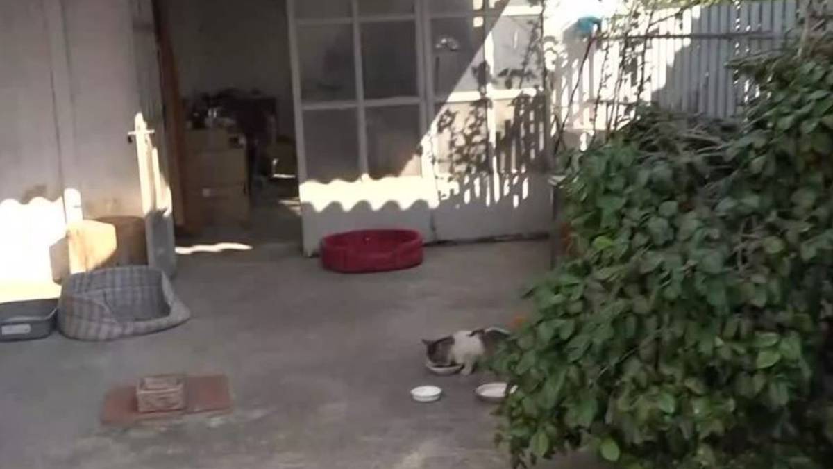 Παραλίγο… νέα Γλυκά Νερά στο Μαρκόπουλο: Της επιτέθηκε με μαχαίρι και την απείλησε με θάνατο αν φώναζε!