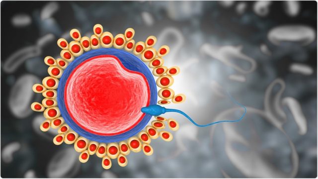 Κορωνοϊός: Τα mRNA εμβόλια δεν βλάπτουν το ανδρικό σπέρμα