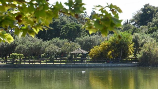 «Πάρκο Τρίτση»: Ξεκινά το πρόγραμμα των πολιτιστικών εκδηλώσεων