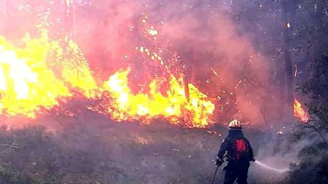 Πυρκαγιά στην Αρκαδία: Σε εξέλιξη φωτιά σε δασική έκταση στο Κρυόνερο – Οι περιοχές της Αττικής που βρίσκονται σε κίνδυνο