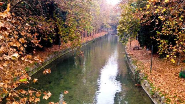 Τρίκαλα: 60χρονη με προβλήματα υγείας ζητά βοήθεια
