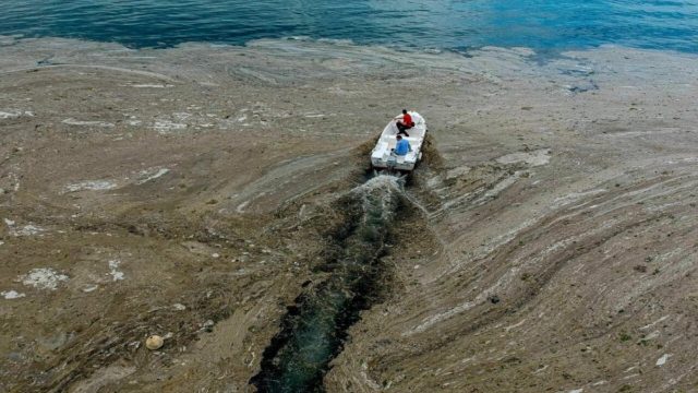 Έφτασε στα παράλια της Λήμνου η βλέννα του Μαρμαρά