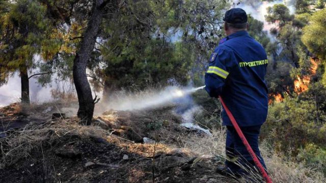 Βόνιτσα: Ο αέρας κάνει δύσκολη την κατάσβεση της φωτιάς – Επιχειρεί το Beriev-200