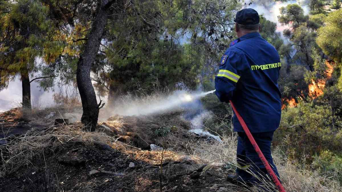 Βόνιτσα: Ο αέρας κάνει δύσκολη την κατάσβεση της φωτιάς – Επιχειρεί το Beriev-200