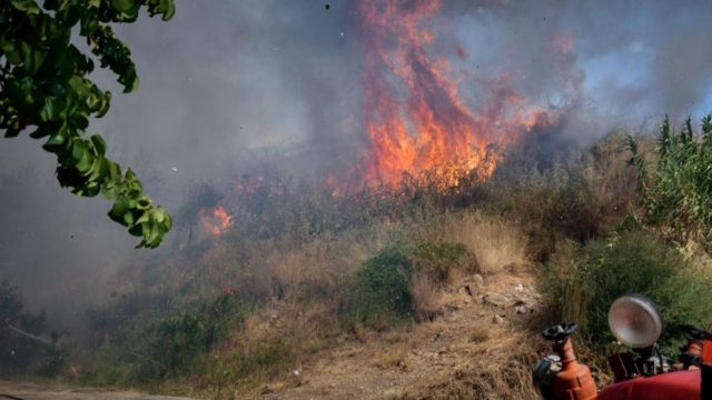 Βόνιτσα: Μάχη με τις φλόγες δίνει η Πυροσβεστική – Εκκενώθηκε ο οικισμός Δρυμός