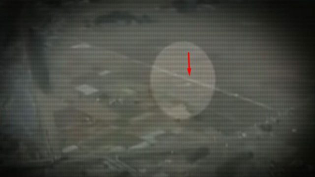 5 μορφές αγγέλων που έχουν καταγραφεί σε κάμερα (Βίντεο)