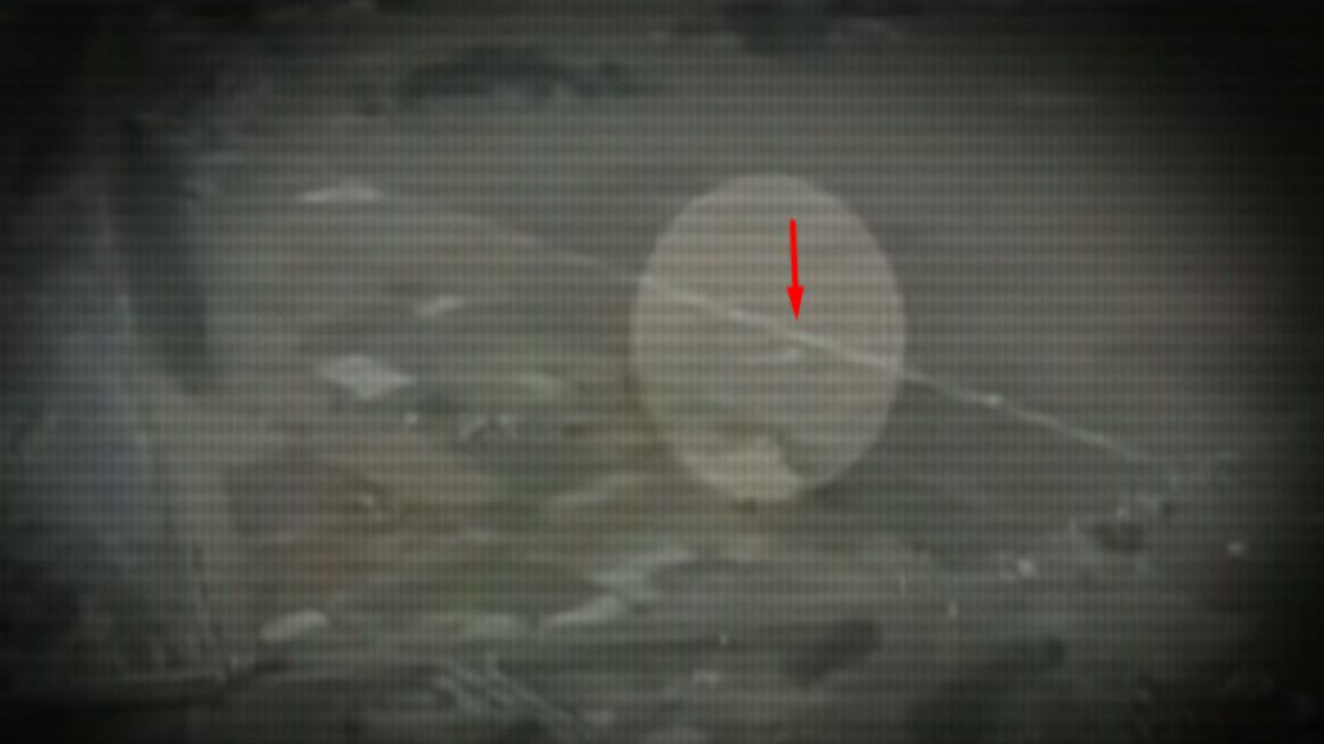 5 μορφές αγγέλων που έχουν καταγραφεί σε κάμερα (Βίντεο)