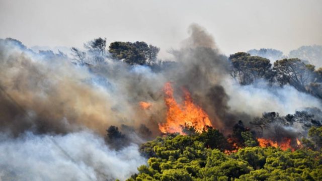Φωτιά στην Ανάβυσσο: Διακοπή κυκλοφορίας στη Λαυρίου – Απομακρύνονται οι κάτοικοι από το Καταφύγι