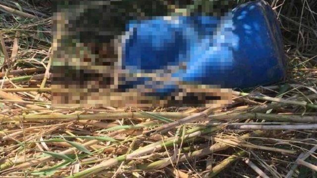 Συνεχίζεται το θρίλερ με το πτώμα στο βαρέλι –  Τα «στοιχεία κλειδιά» της υπόθεσης