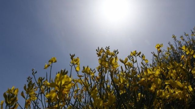 Καιρός σήμερα 6/7: Σχεδόν αίθριος με αστάθεια στα κεντρικά και βόρεια – Μικρή άνοδος της θερμοκρασίας