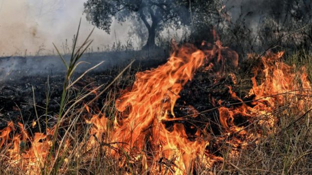 Κεφαλονιά: Εκκενώθηκε και δεύτερο χωριό – Πνέουν ισχυροί άνεμοι