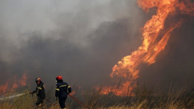 Φωτιά στην Ανάβυσσο