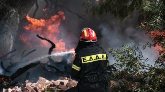 Φωτιά στην Κεφαλονιά: Ενισχύθηκαν οι δυνάμεις της πυροσβεστικής – Στην περιοχή πνέουν ισχυροί άνεμοι – Υψηλός ο κίνδυνος πυρκαγιάς για πολλές περιοχές