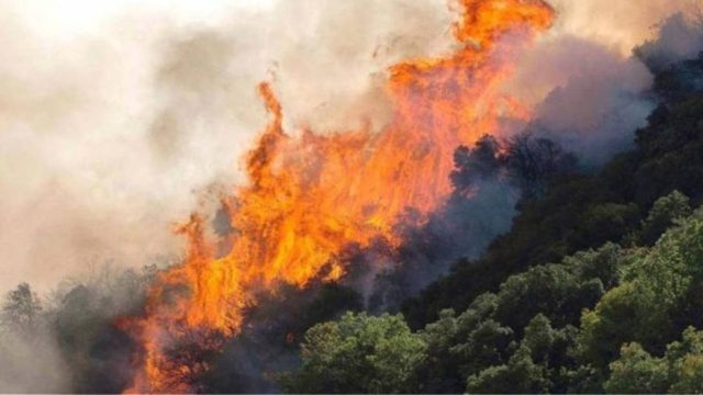 Φωτιά στο δάσος της Πρίνας στο Λασίθι