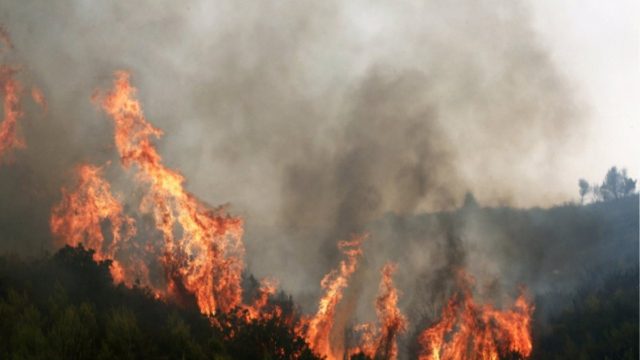 Φωτιά στην Μονεμβασιά –  Ποιες περιοχές βρίσκονται σε επιφυλακή