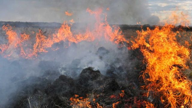 Φωτιά λόγω κεραυνών στην Πάρνηθα – Συναγερμός σε αυτές τις περιοχές της χώρας
