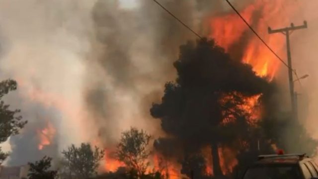 Φωτιά στη Σταμάτα: Σπίτια και αυτοκίνητα παραδόθηκαν στις φλόγες – Νέες εικόνες από τη πύρινη λαίλαπα (Video)