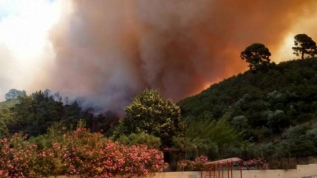 Φωτιά στην Χαλκιδική – Ποιες περιοχές της χώρας κινδυνεύουν περισσότερο