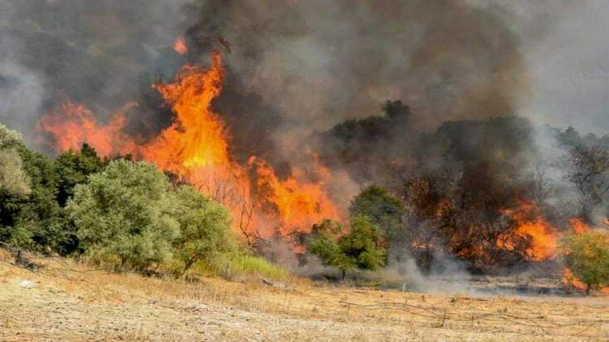 Φωτιές σε Ρέθυμνο και Θεσσαλονίκη