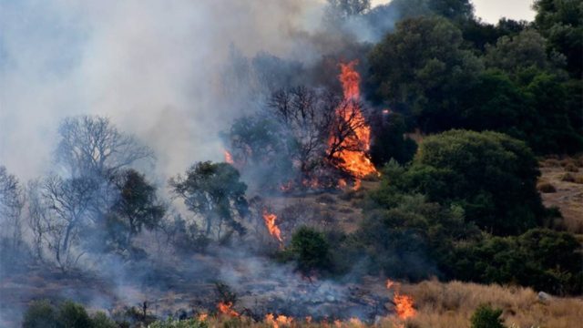 Νέα φωτιά στα Στύρα Ευβοίας – Κολασμένο Σάββατο για την Πυροσβεστική
