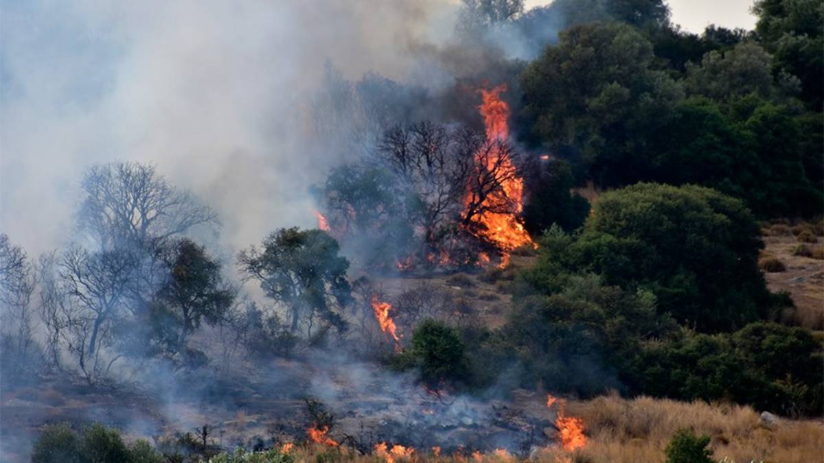 Νέα φωτιά στα Στύρα Ευβοίας – Κολασμένο Σάββατο για την Πυροσβεστική
