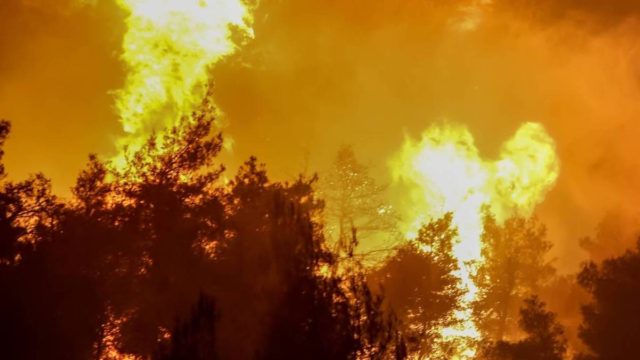 Φωτιά στην Κορινθία: Συνεχίζεται η μάχη με τις φλόγες – Σύλληψη άνδρα για εμπρησμό