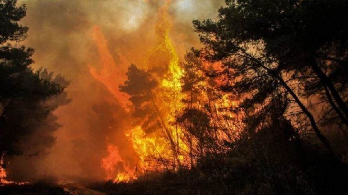 Συνεχίζεται το θρίλερ στην Τουρκία: Στους έξι οι νεκροί από τις δασικές πυρκαγιές