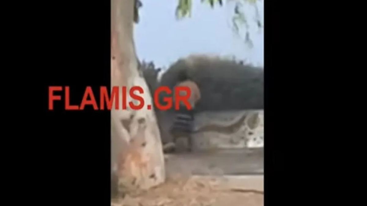 Πάτρα: Επιδειξίας αυτοϊκανοποιήθηκε δίπλα σε γυναίκες που έκαναν ηλιοθεραπεία