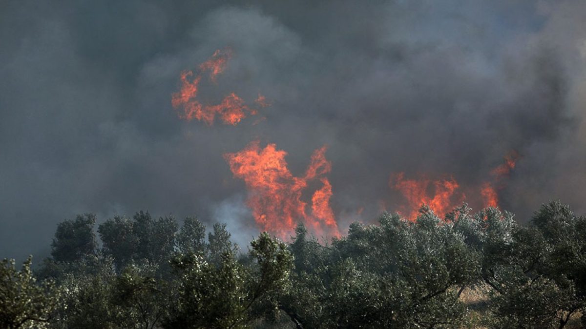 Προσοχή! Σε επιφυλακή οι Αρχές – Πολύ υψηλός κίνδυνος πυρκαγιάς την Πέμπτη