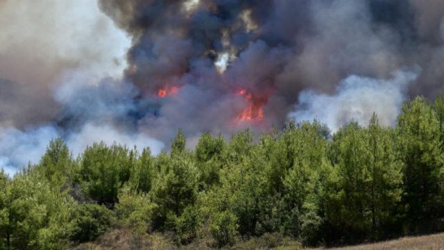 Ισχυρή φωτιά στον Πύργο (Video)