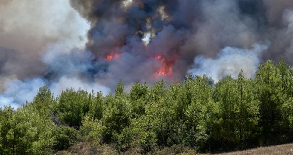 Ισχυρή φωτιά στον Πύργο (Video)