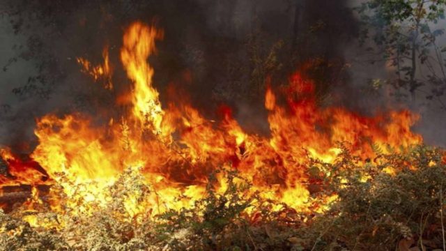Υψηλός κίνδυνος εκδήλωσης φωτιάς τη Δευτέρα – Υπό πλήρη έλεγχο όλα τα μέτωπα στην Κεφαλλονιά