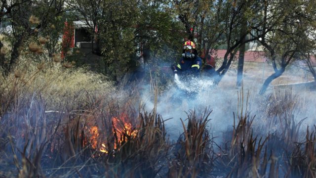 Φωτιά στο Αίγιο – Κάηκαν περίπου 70 στρέμματα δασικής έκτασης στη Ρόδο