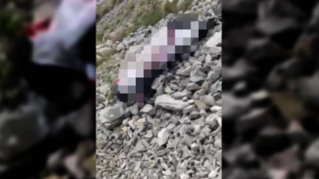 Βοιωτία: Βίντεο ντοκουμέντο από την πτώση του αιωροπτεριστή που βρήκε τραγικό θάνατο!