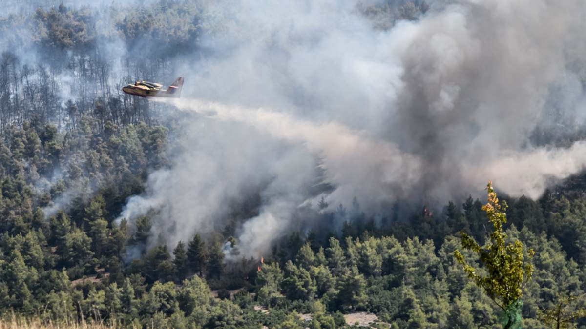 Φωτιά στα Βίλια: Κάηκαν σπίτια στον οικισμό Προφήτης Ηλίας – Μάχη με τα μποφόρ και τις αναζωπυρώσεις