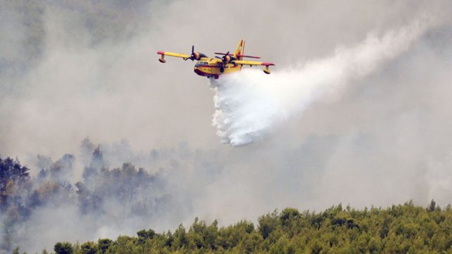 Φωτιά στη Φθιώτιδα: Οι φλόγες πλησιάζουν το Λογγίτσι – Εκκενώθηκε το χωριό