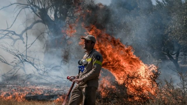 Φωτιά στα Βίλια: Ολονύχτια μάχη με το πύρινο μέτωπο – «Νιώθουμε εγκαταλελειμμένοι»