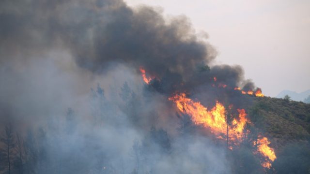 Φωτιά στη Μάνη: Συνεχίζεται η τραγωδία στη Λακωνική πλευρά – Η καταστροφή που φέρνουν οι πυρκαγιές στην οικονομία