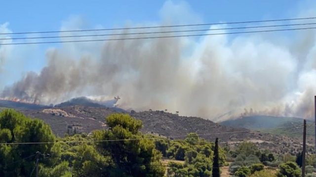 Φωτιά στην Κερατέα: Έφτασαν στις αυλές των σπιτιών οι φλόγες