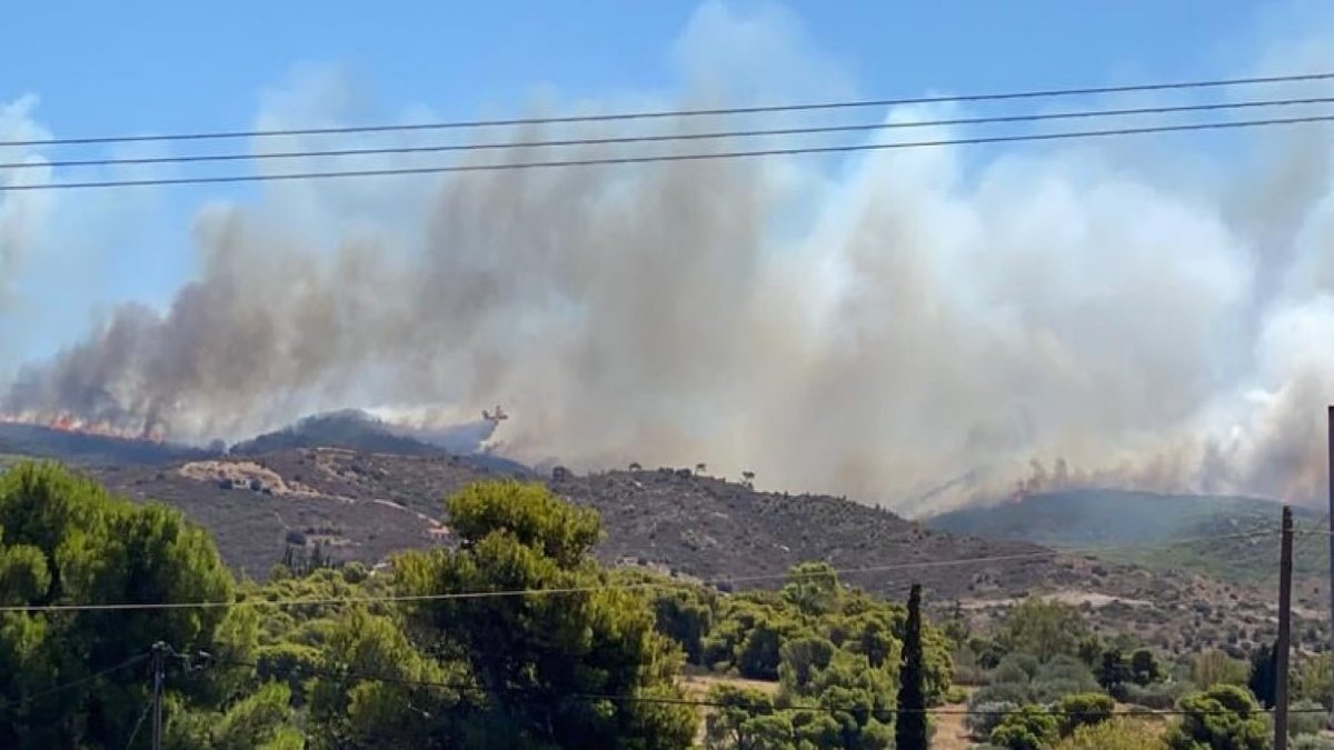Φωτιά στην Κερατέα: Έφτασαν στις αυλές των σπιτιών οι φλόγες