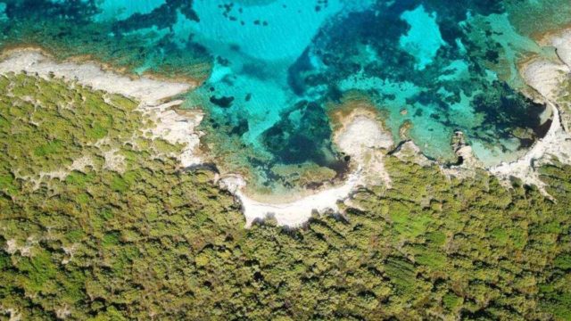 Πεταλιοί: Η «Καραϊβική» μόλις μια ώρα από την Αθήνα!