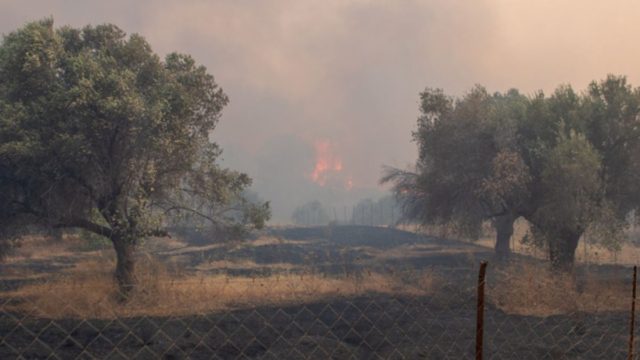 Φωτιά στη Ρόδο: Συνελήφθη 57χρονη για τρεις περιπτώσεις εμπρησμού