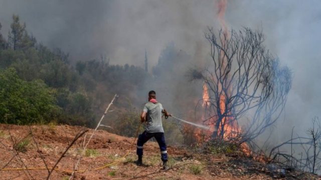 Φωτιά στην Ηλεία: Νέα αναζωπύρωση σε Βίλλια και Δούκα
