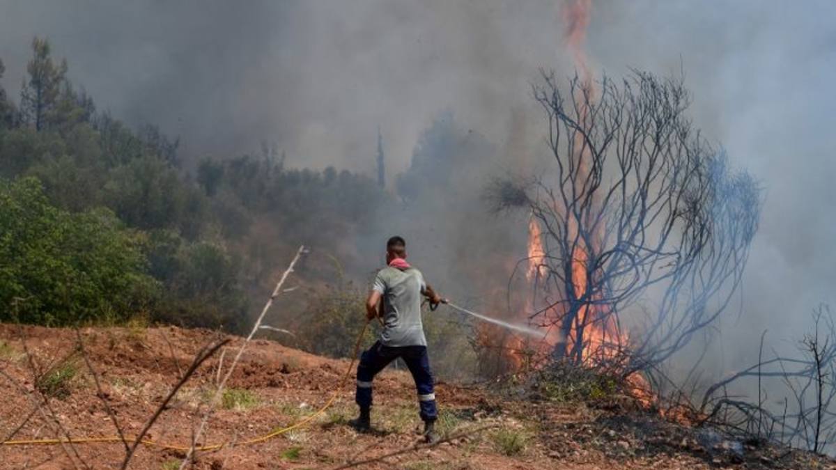 Φωτιά στην Ηλεία: Νέα αναζωπύρωση σε Βίλλια και Δούκα