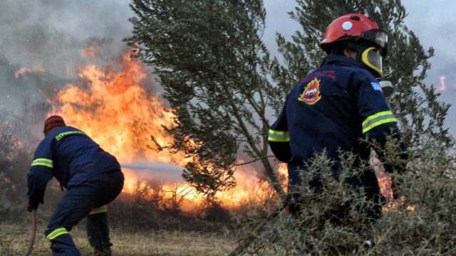 Φωτιά στα Βίλια – Οργισμένη κάτοικος: «Μόνο όταν έρχονται κανάλια, πετάνε τα αεροπλάνα – Μας παράτησαν»