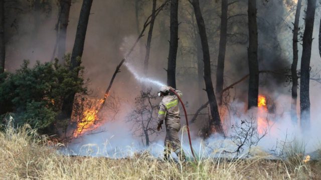 Προσήχθη 13χρονος για τις φωτιές στον Θεολόγο – Συνελήφθησαν και οι γονείς του