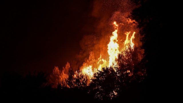 Φωτιά στην Φθιώτιδα: Υπό έλεγχο το πύρινο μέτωπο