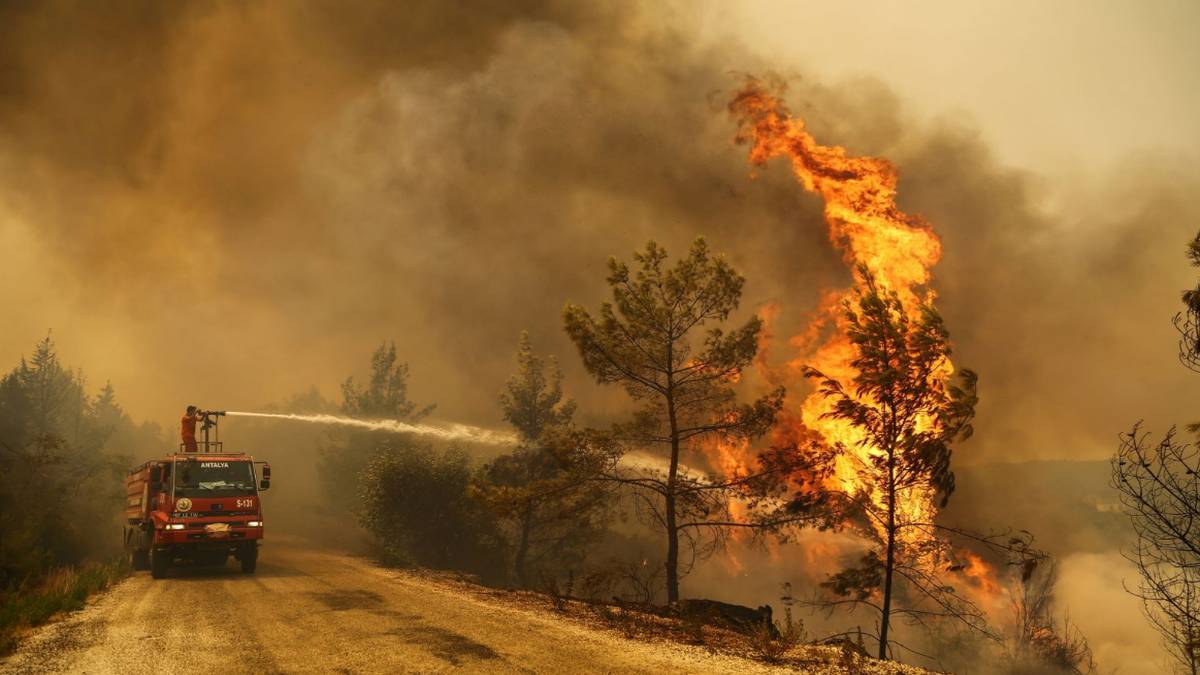 Στο “κόκκινο” η μισή Ελλάδα την Παρασκευή (06/08): Ακραίος κίνδυνος πυρκαγιάς για πολλές περιοχές της χώρας!