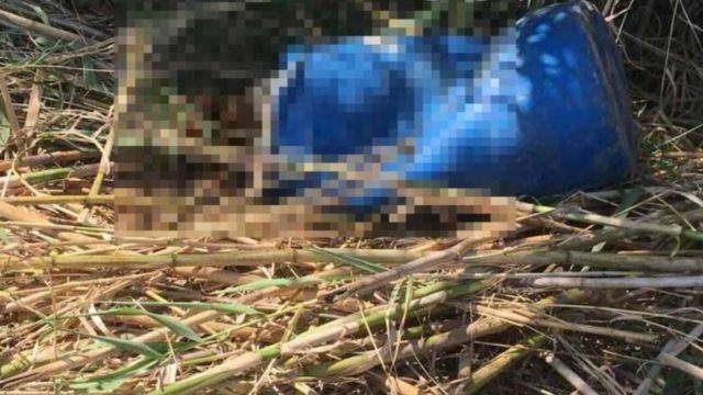 Κρήτη: Ταυτοποιήθηκε το πτώμα που είχε βρεθεί σε βαρέλι – Όσα έδειξε η εξέταση DNA